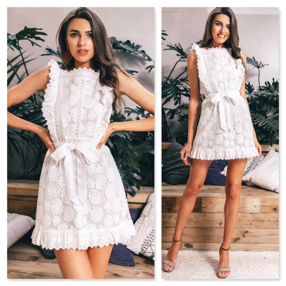 Eyelet White Belted Fit and Flared Mini Dress - Picture 4 of 8